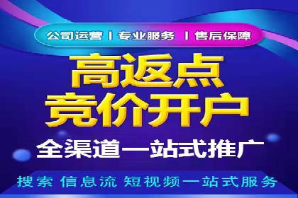 知名SEM代运营公司案例解析